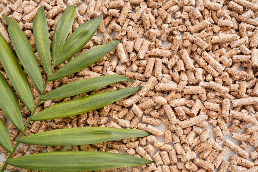 A Comprehensive Guide to Biomass Boilers: Understanding Pellet and Wood Chip Fuel Options