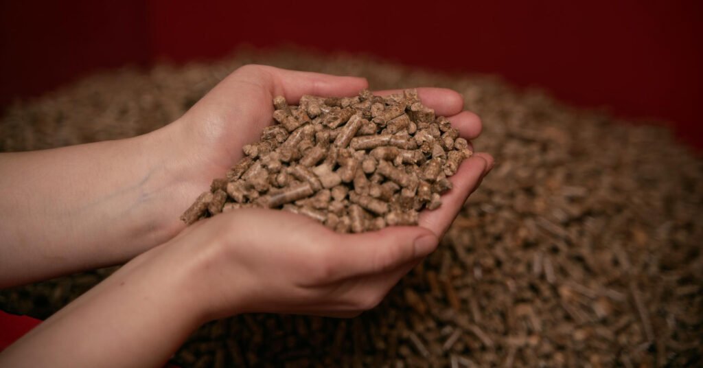 pellet